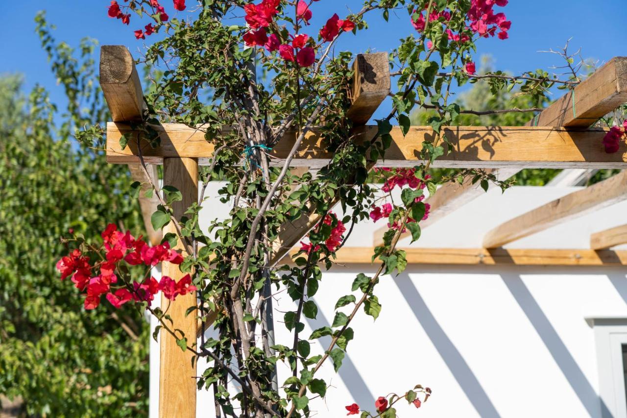 Anassa Cycladic Village Galissas Dış mekan fotoğraf