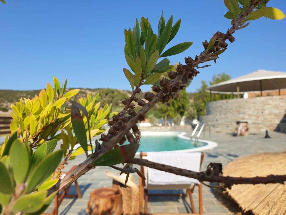 Anassa Cycladic Village Galissas Dış mekan fotoğraf